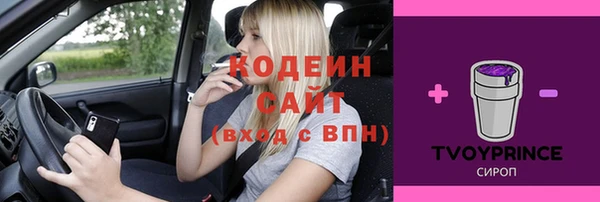 молекула духа Абинск